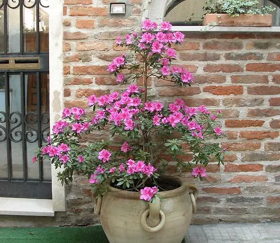 Lägenhet Al Campanile Madonna Dell'orto *