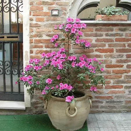 Apartmán Al Campanile Madonna Dell'orto *